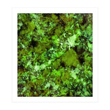 In Disguise (Print Only) thumbnail