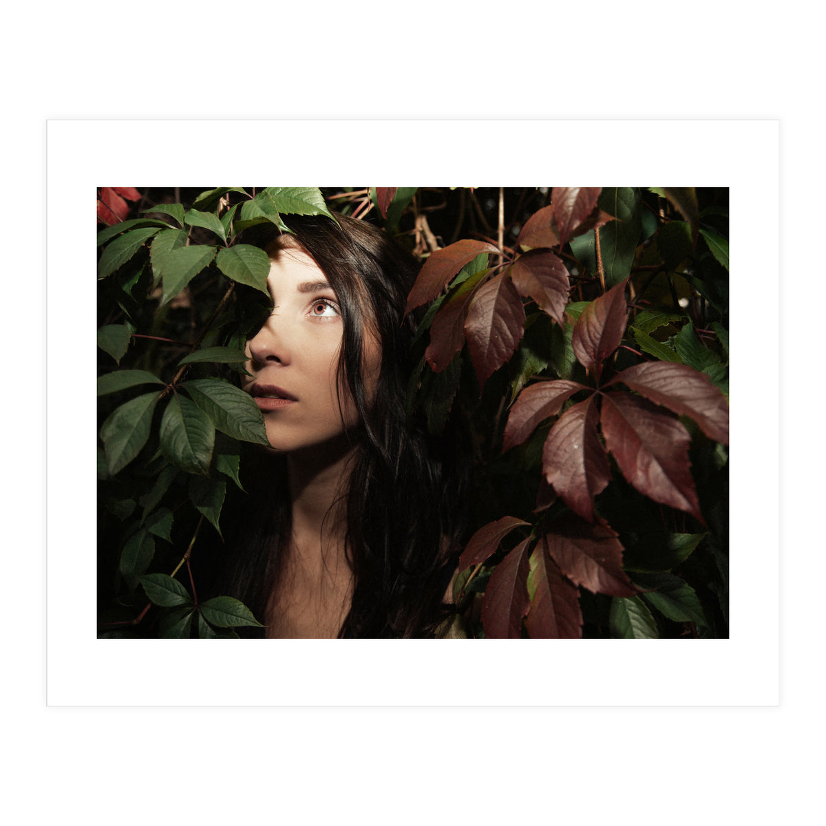 Autumn Portrait (Print Only)