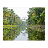 Allepey, India (Print Only) thumbnail