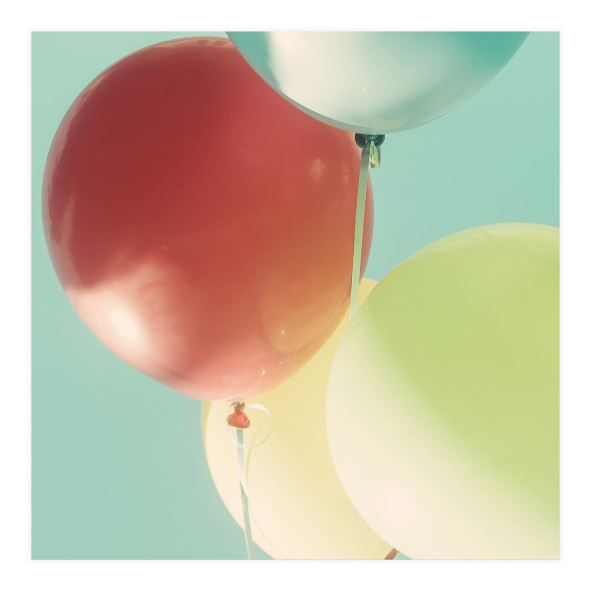 So Much Fun (Print Only)