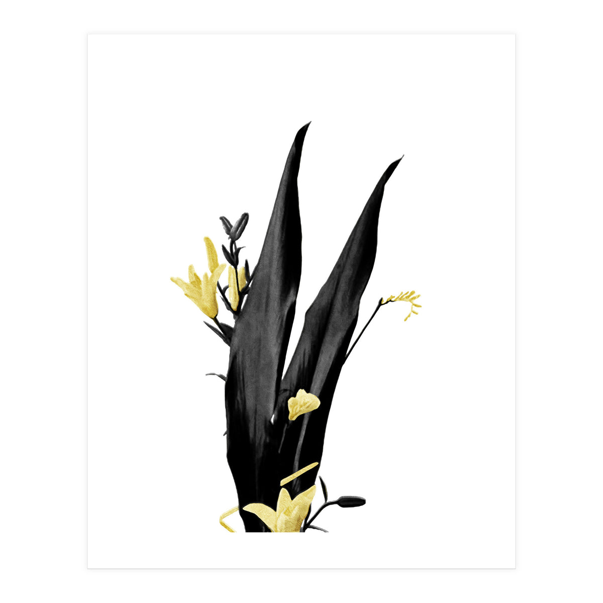 Flower Minimal Black And Gold 03 (Print Only)
