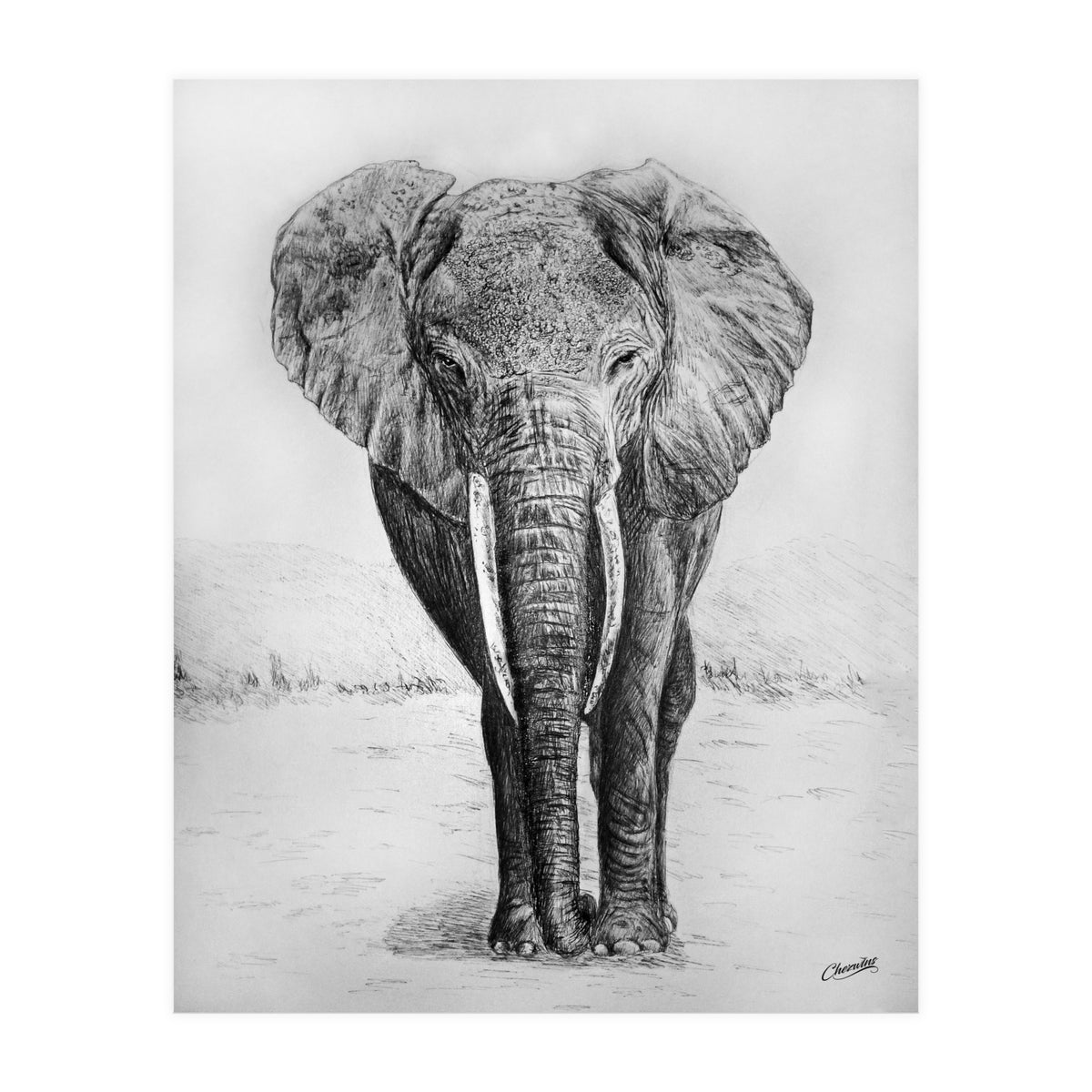 The Long Journey (Print Only)