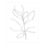 Seven Leaf Plant (Print Only) thumbnail