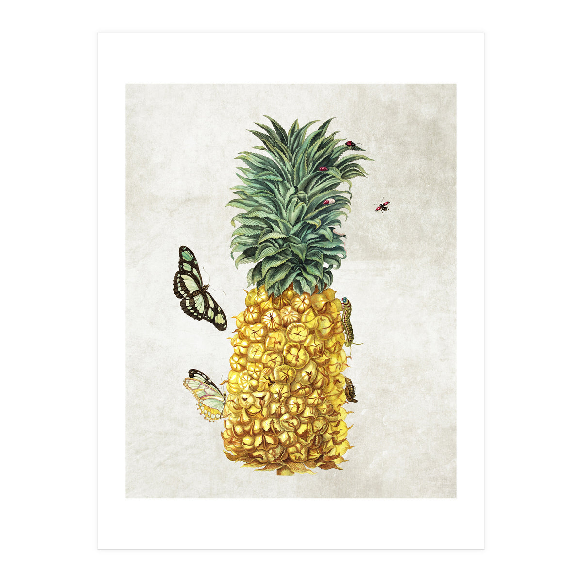 ananas (Print Only)