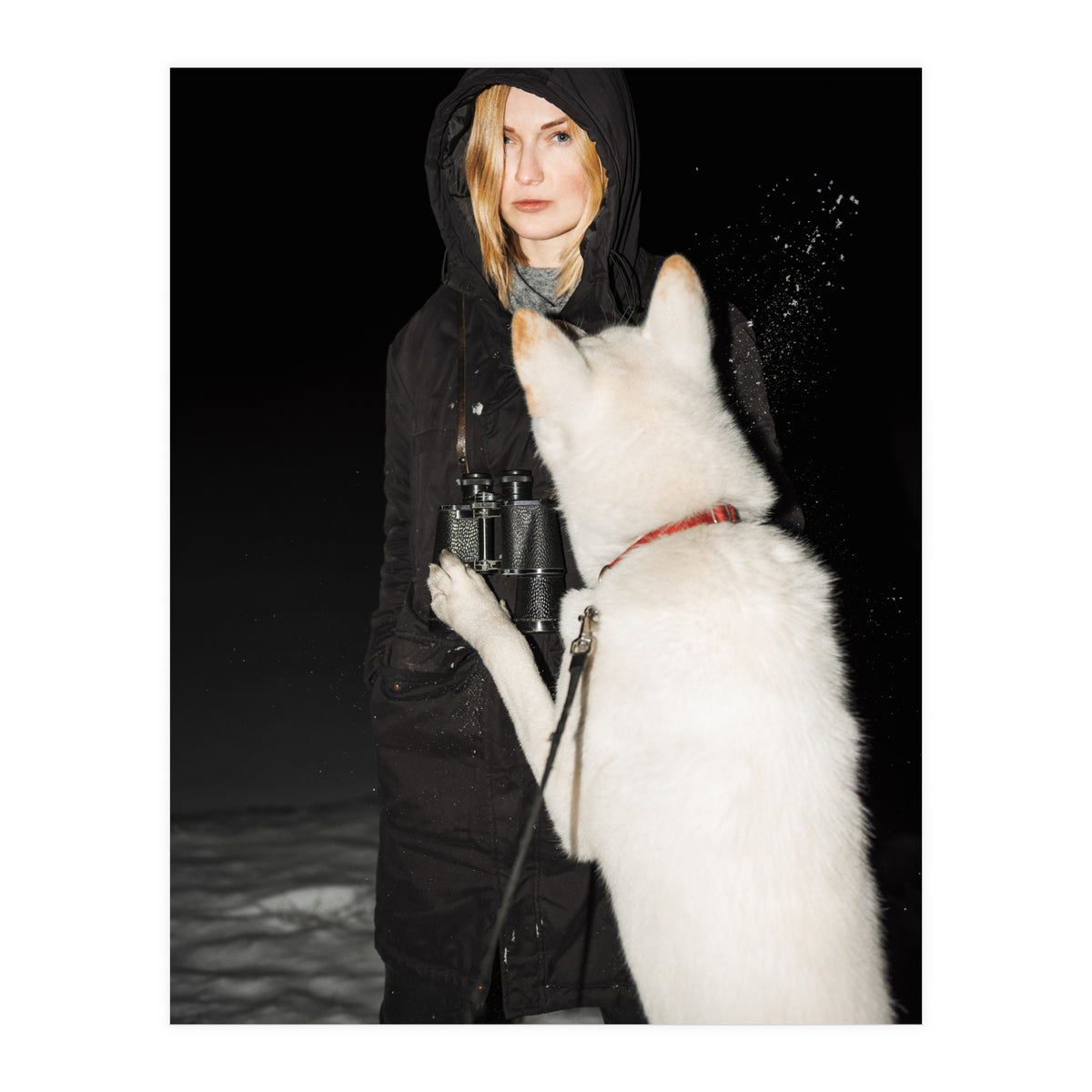 Wolf Gang (Print Only)