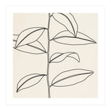 LEAF IN LINE 01 (Print Only) thumbnail