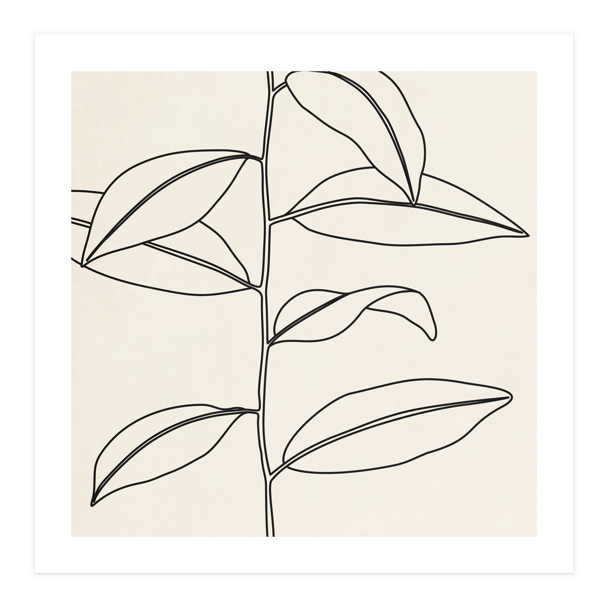 LEAF IN LINE 01 (Print Only)
