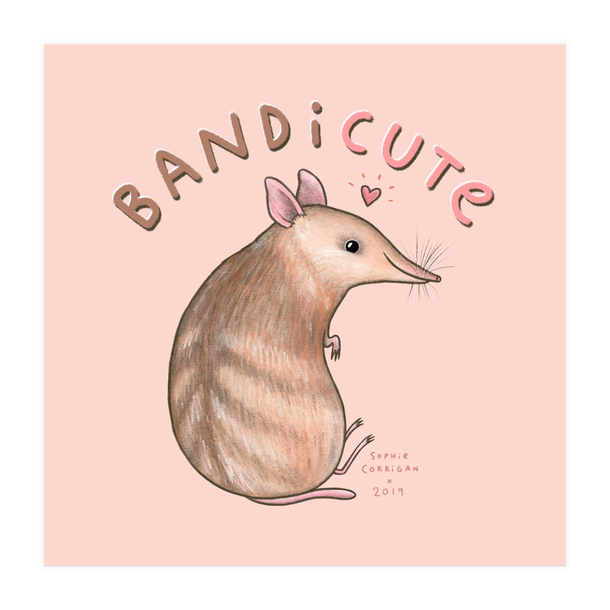 Bandicute (Print Only)