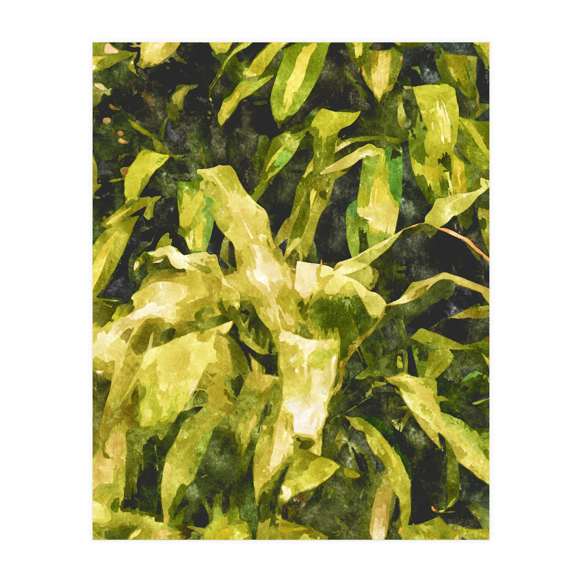 Green Nature (Print Only)