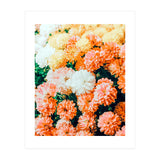 Garden Song (Print Only) thumbnail