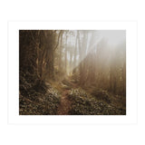 Mt. Davidson II (Print Only) thumbnail