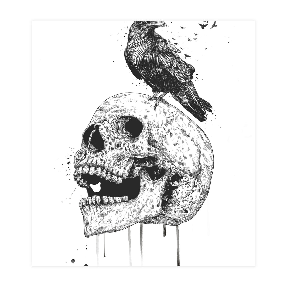 New Skull (bw) (Print Only)