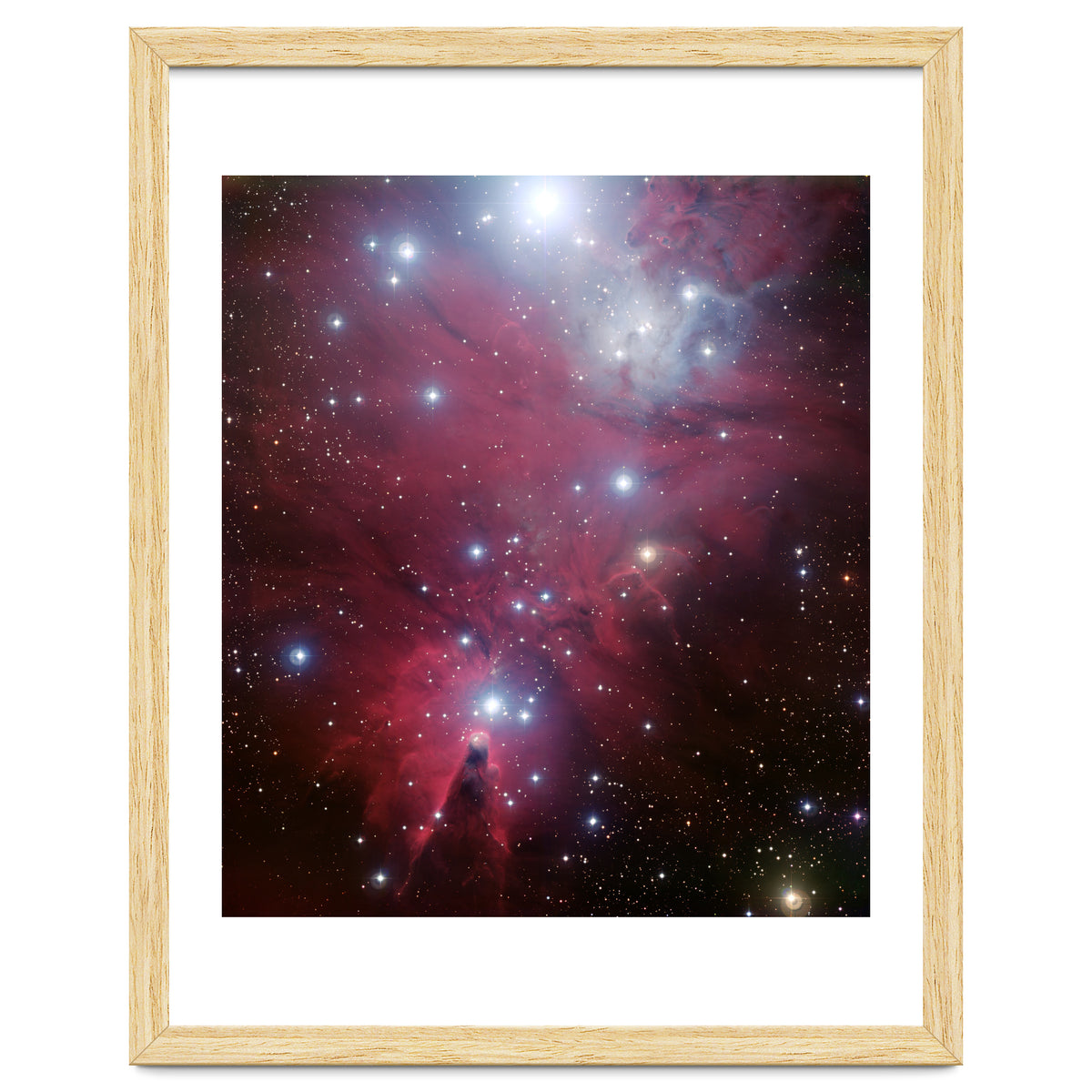 The Christmas Tree Cluster