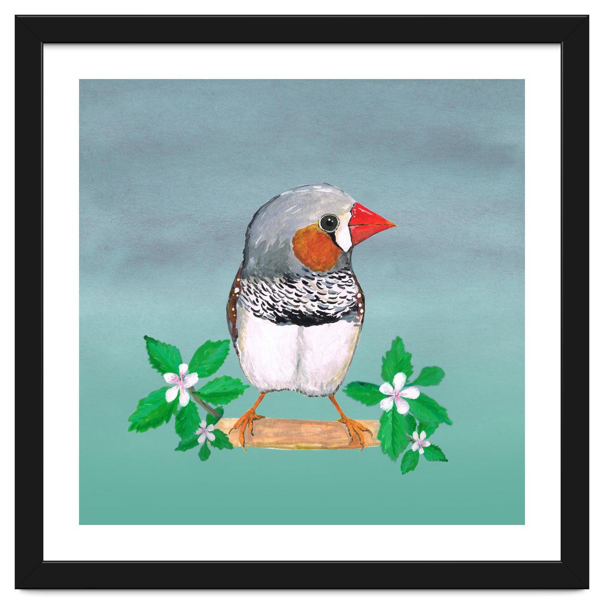 Zebra finch