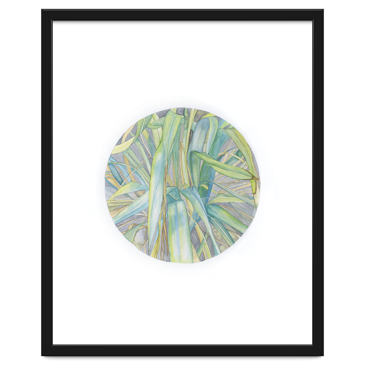 Grasses In The Late Summer Light