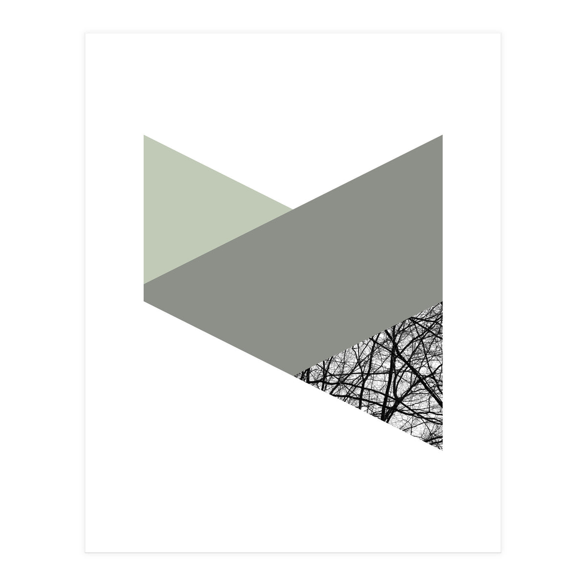 TRIWOOD III (Print Only)