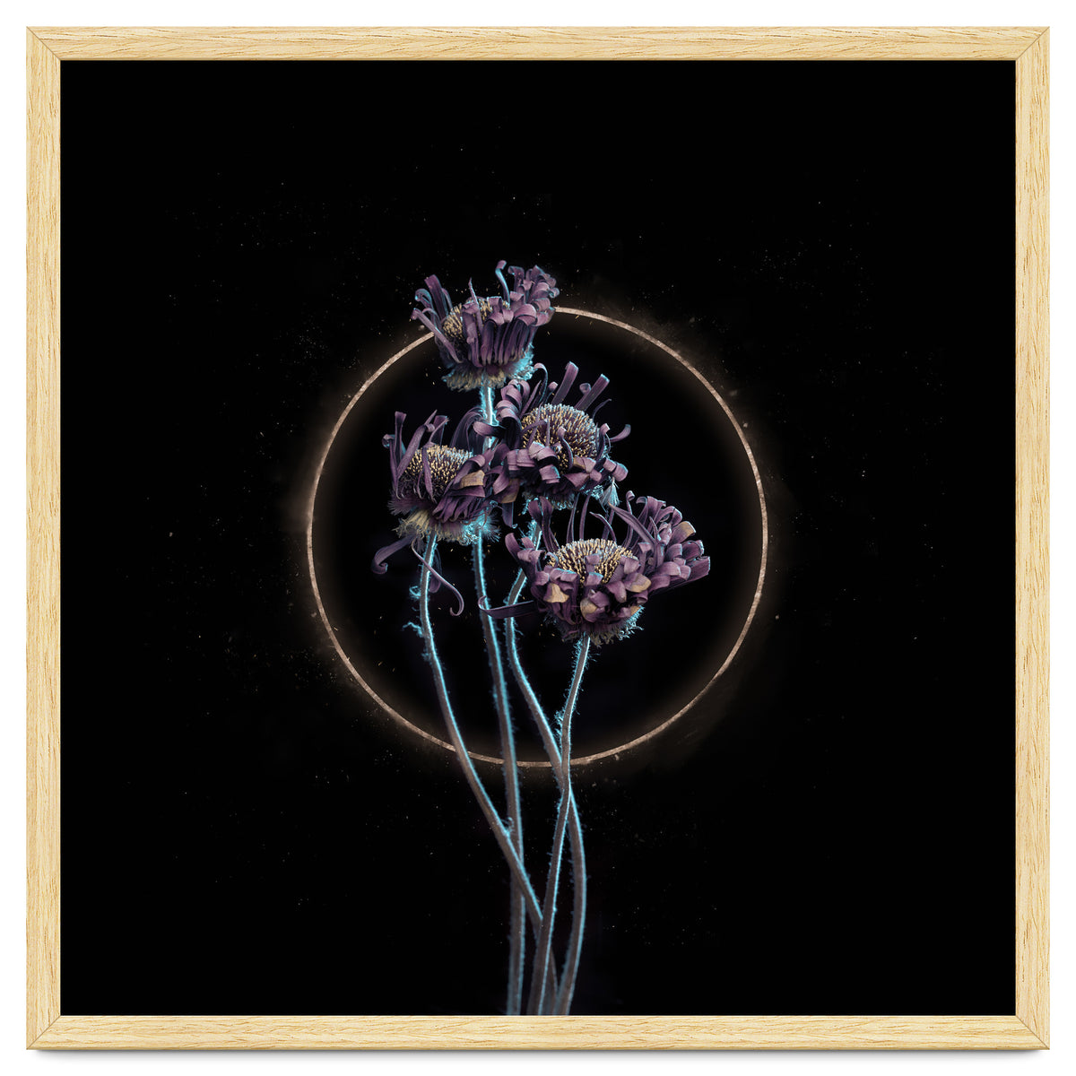 Candy-Coloured Mystery