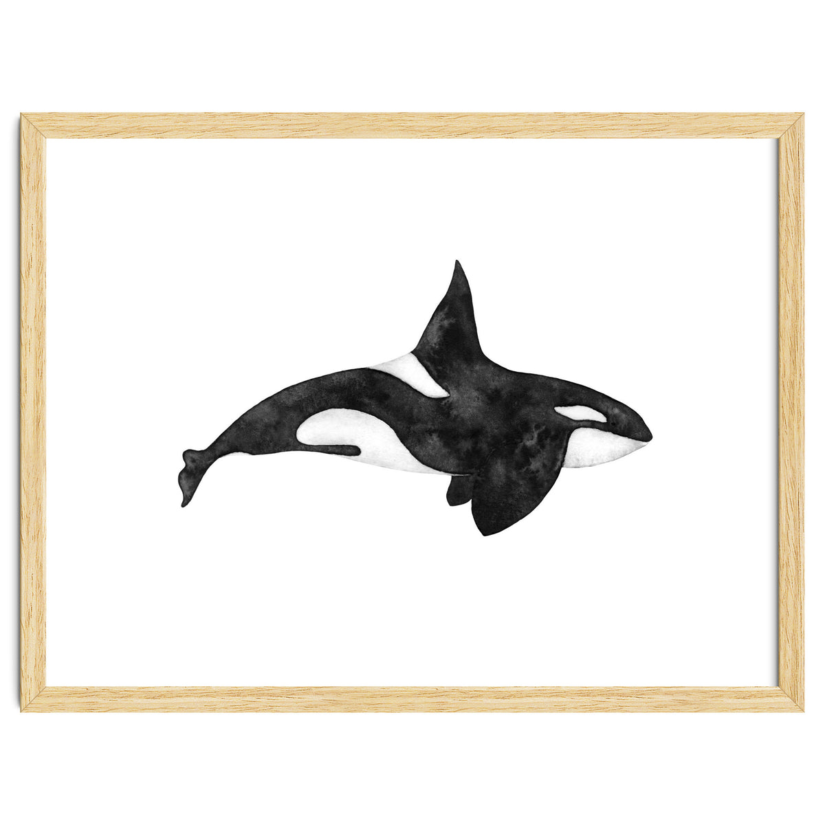 Orca