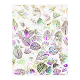 Nature Glow (Print Only) thumbnail
