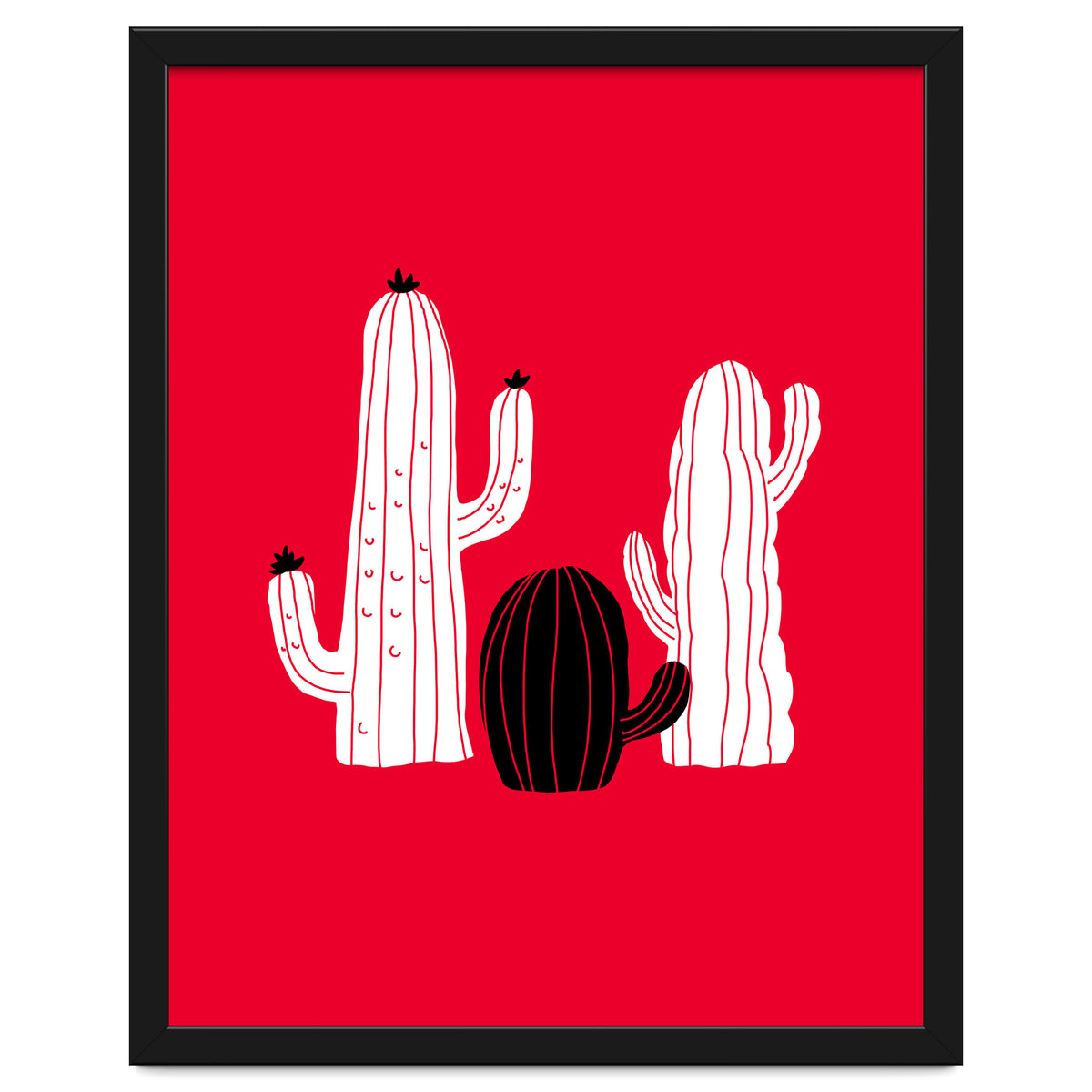 Cactus