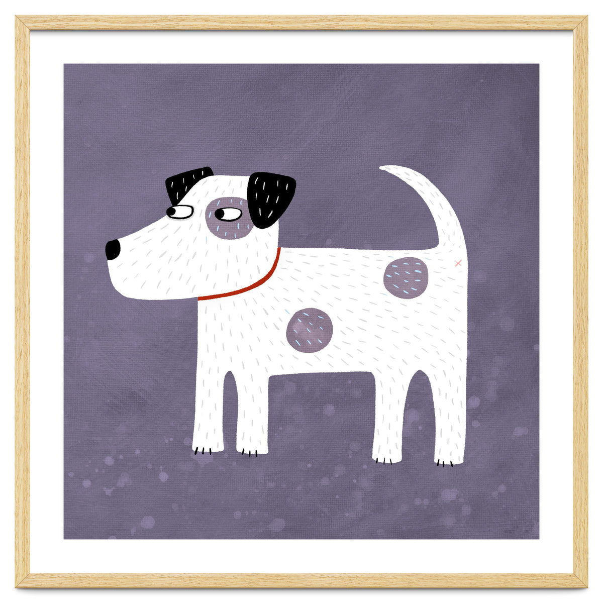 Jack Russell Terrier