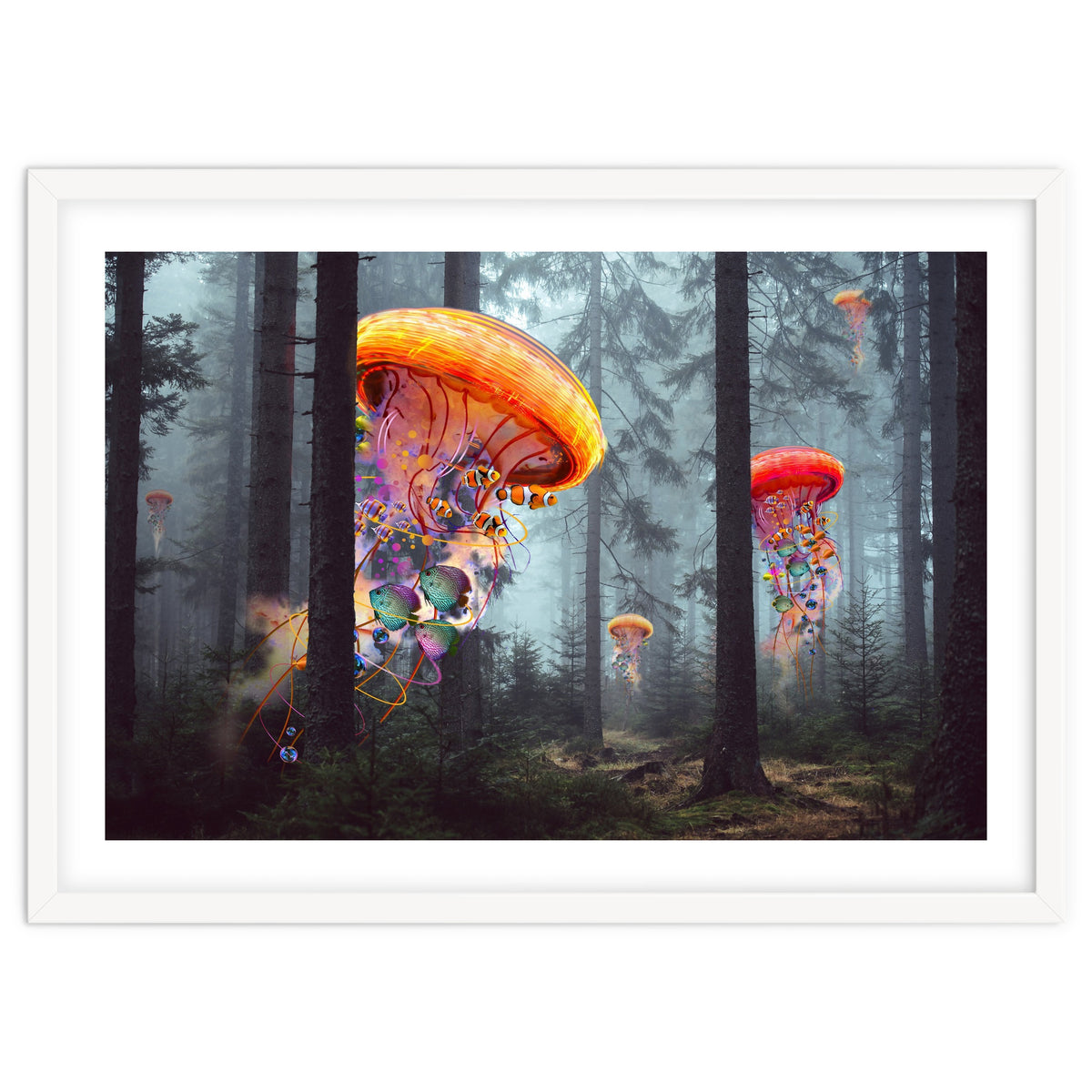 Forest Jellyfish For Print7000