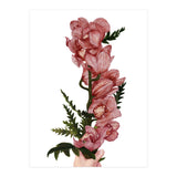 For You (Print Only) thumbnail