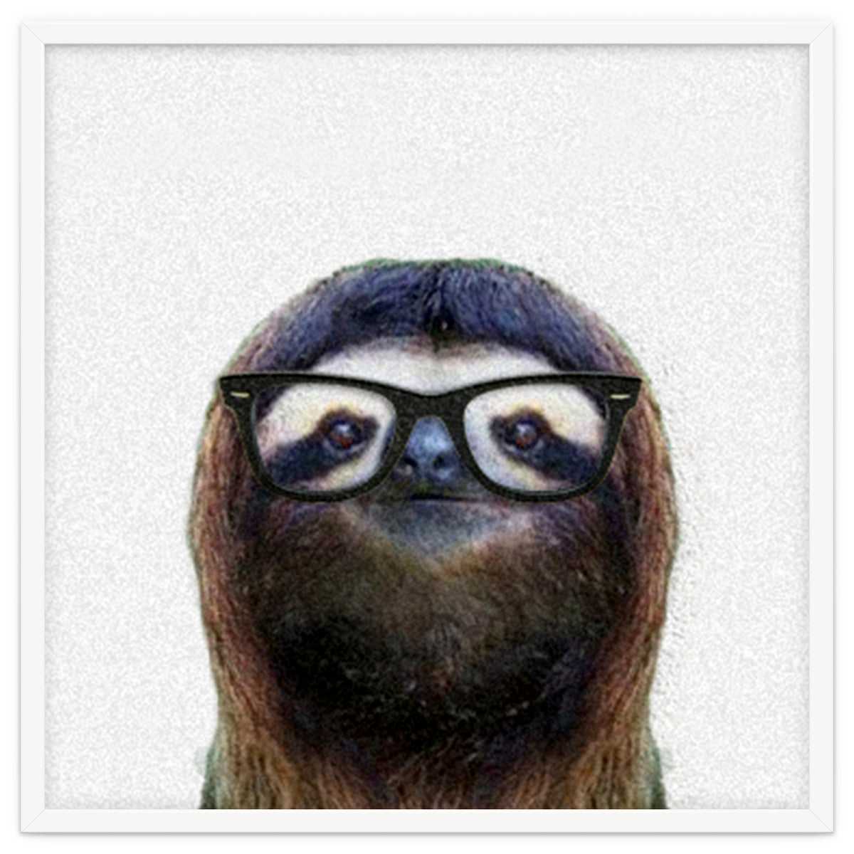 Geek Sloth