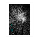 Mad Mind 1 (Print Only) thumbnail