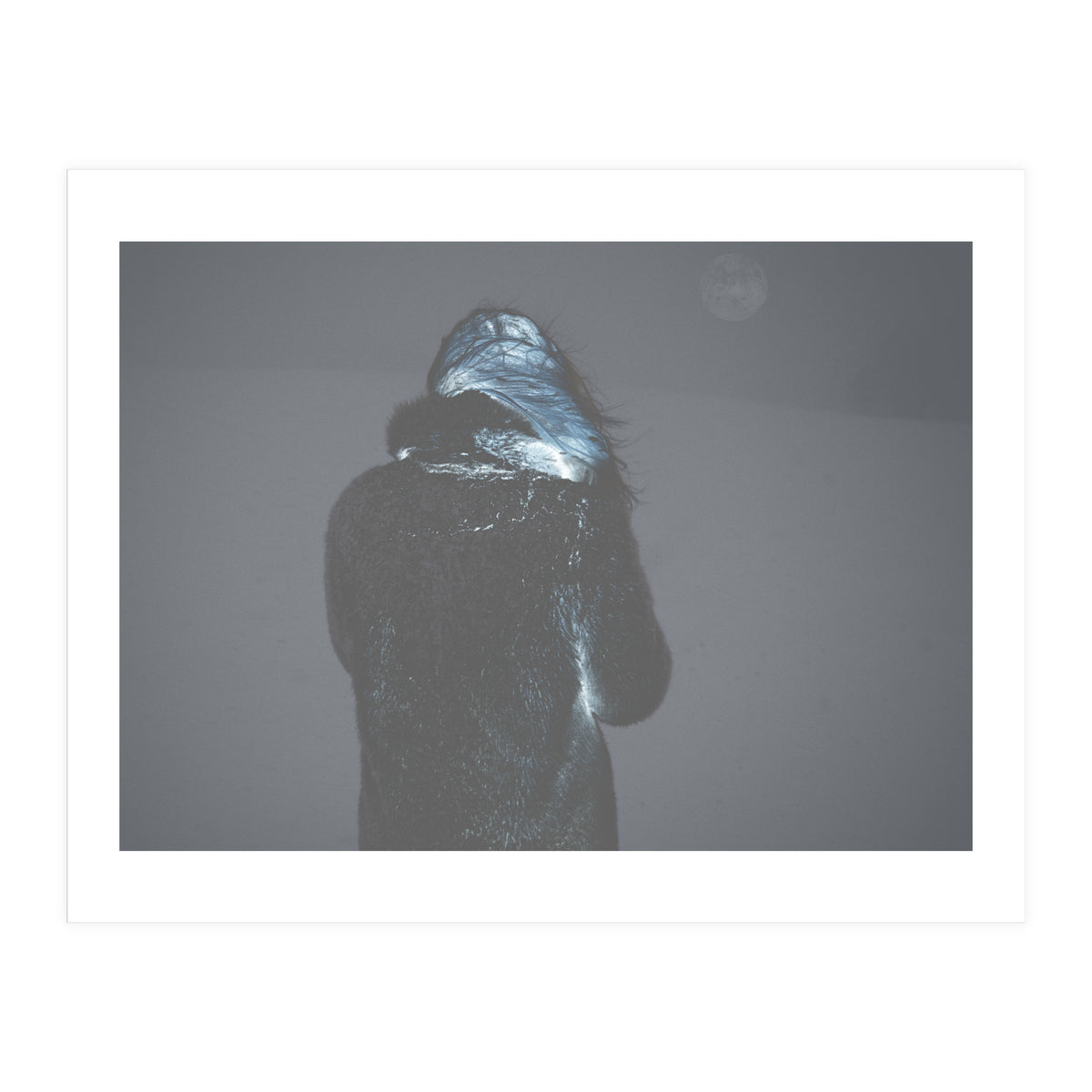 Metamorphosis (Print Only)