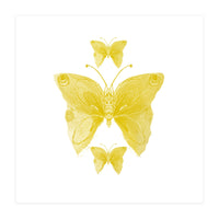 Yellow Butterflies (Print Only)