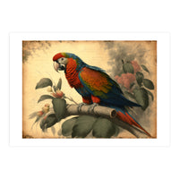 Parrot Vintage Painting (Print Only)