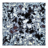 Impact (Print Only) thumbnail