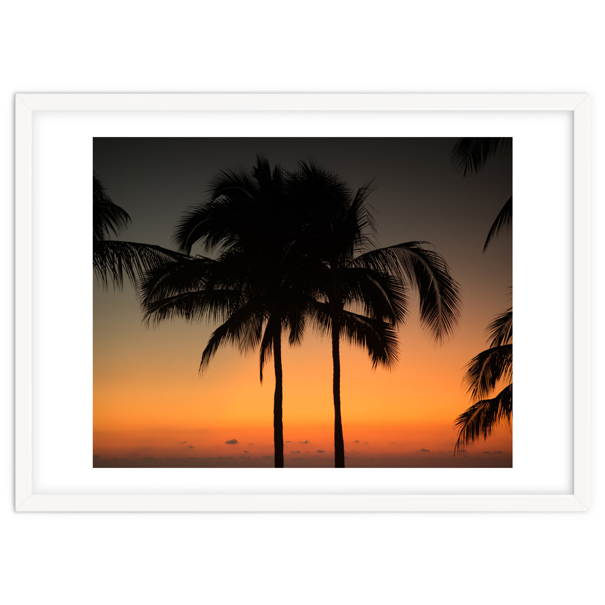 Mexico, November nights