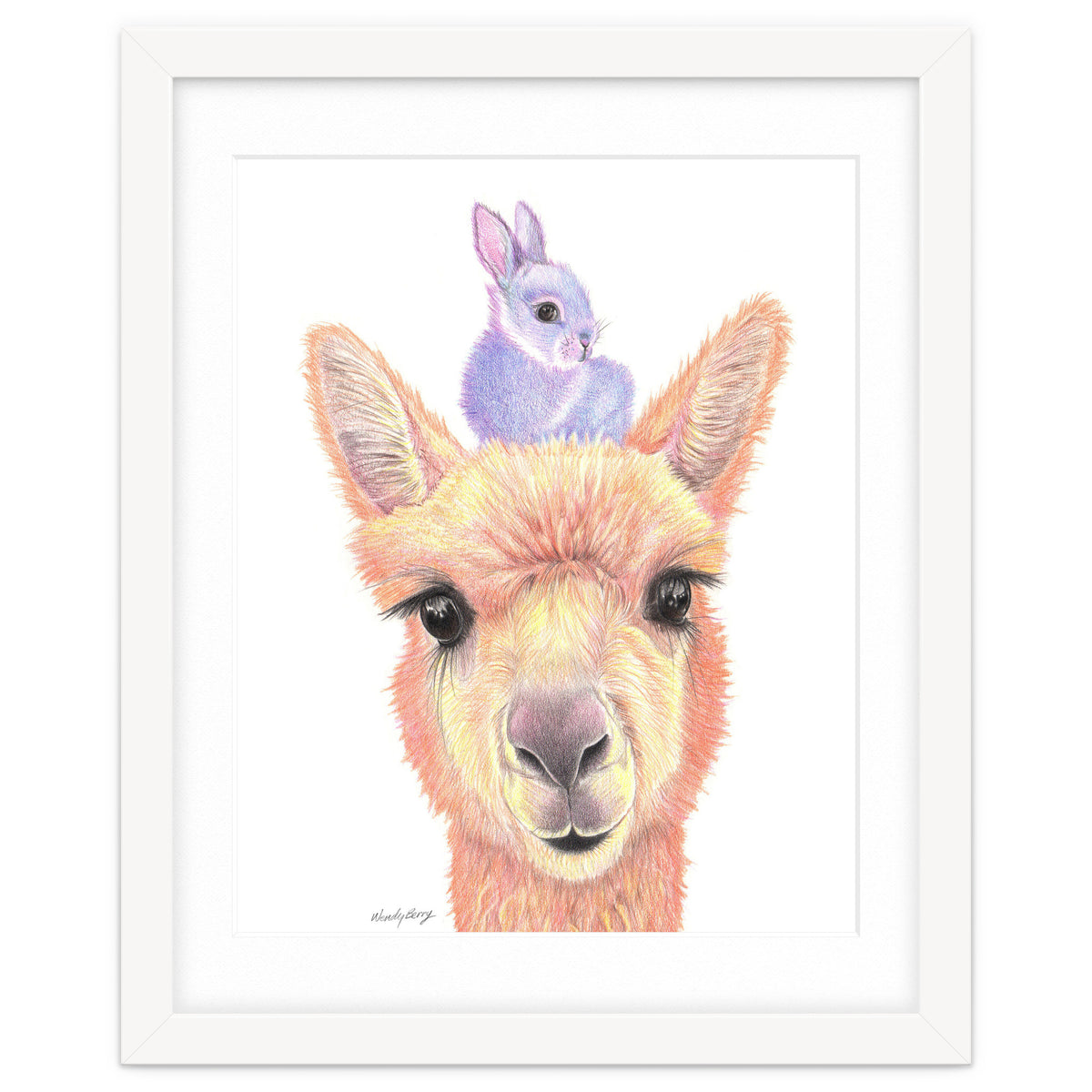 Alpaca and Bunny