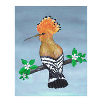 Hoopoe bird (Print Only)