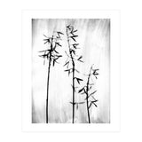 Hosta 3 (Print Only) thumbnail