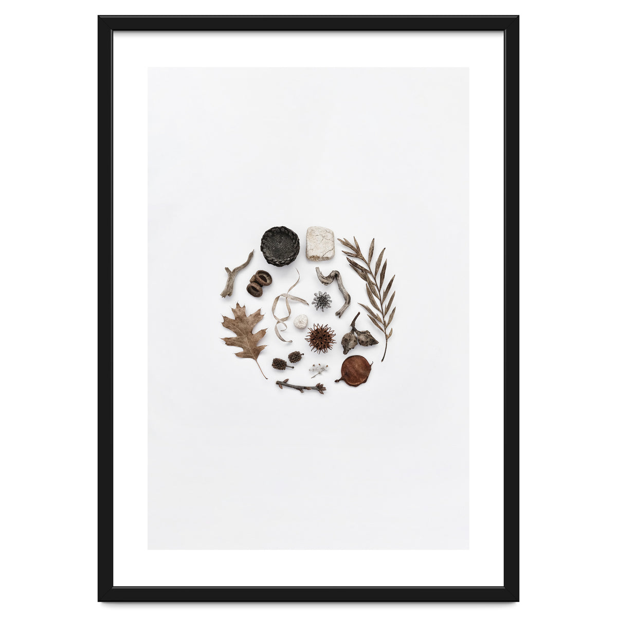 Treasures From Nature No. 2