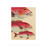 Fish Classic Designs 7 (Print Only) thumbnail