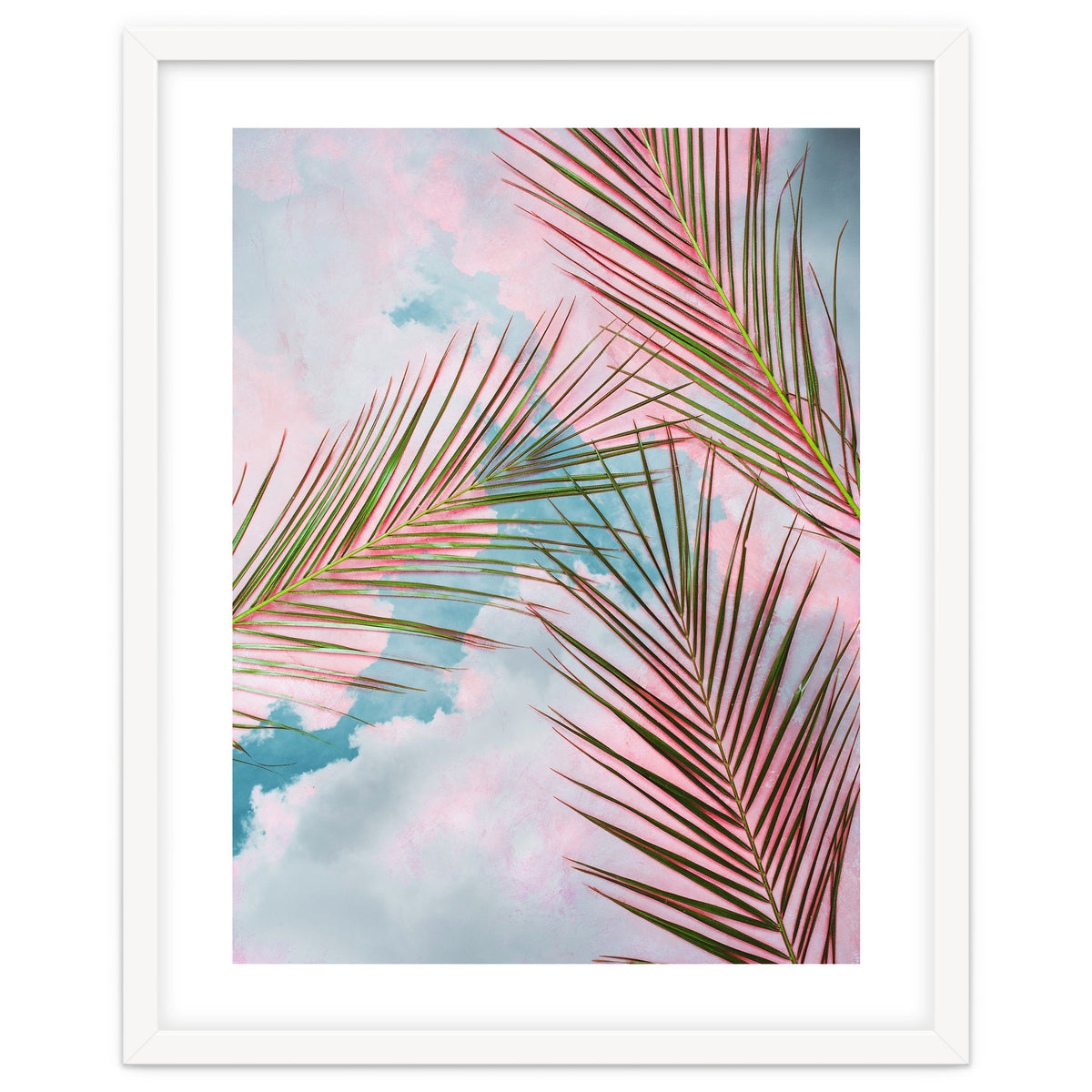 Palms + Sky