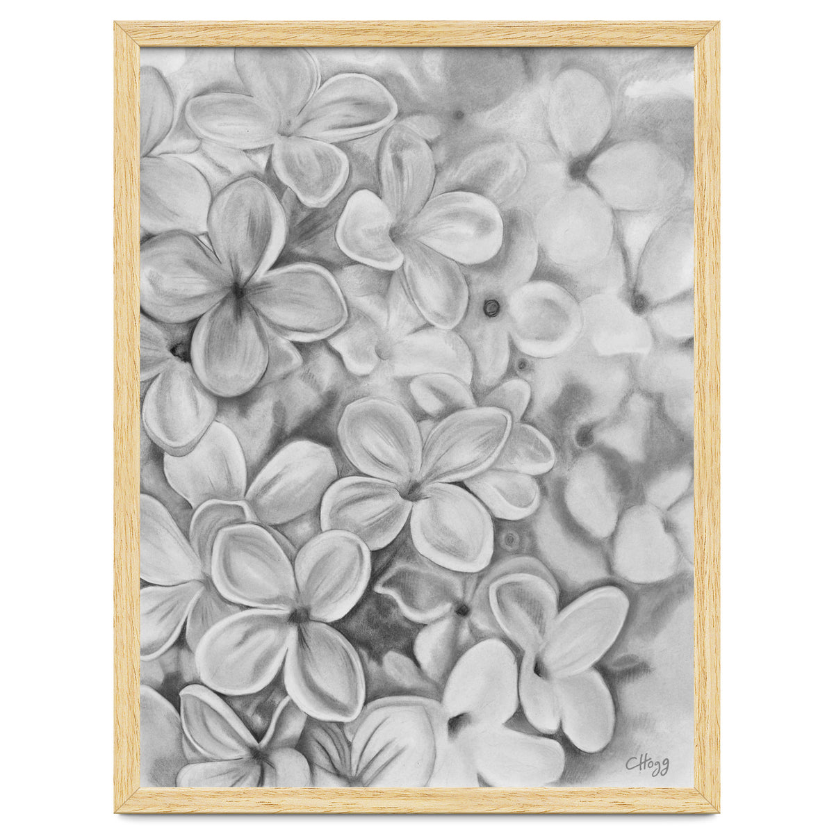 The Essence Of Spring in Monochrome