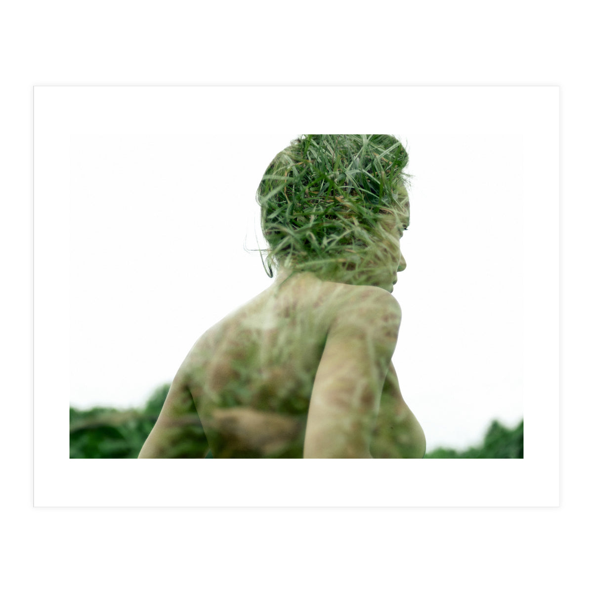 Grasshoppers (Print Only)