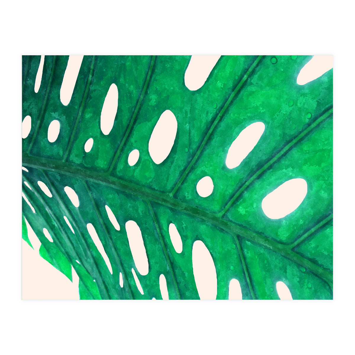 Foliage V2 (Print Only)