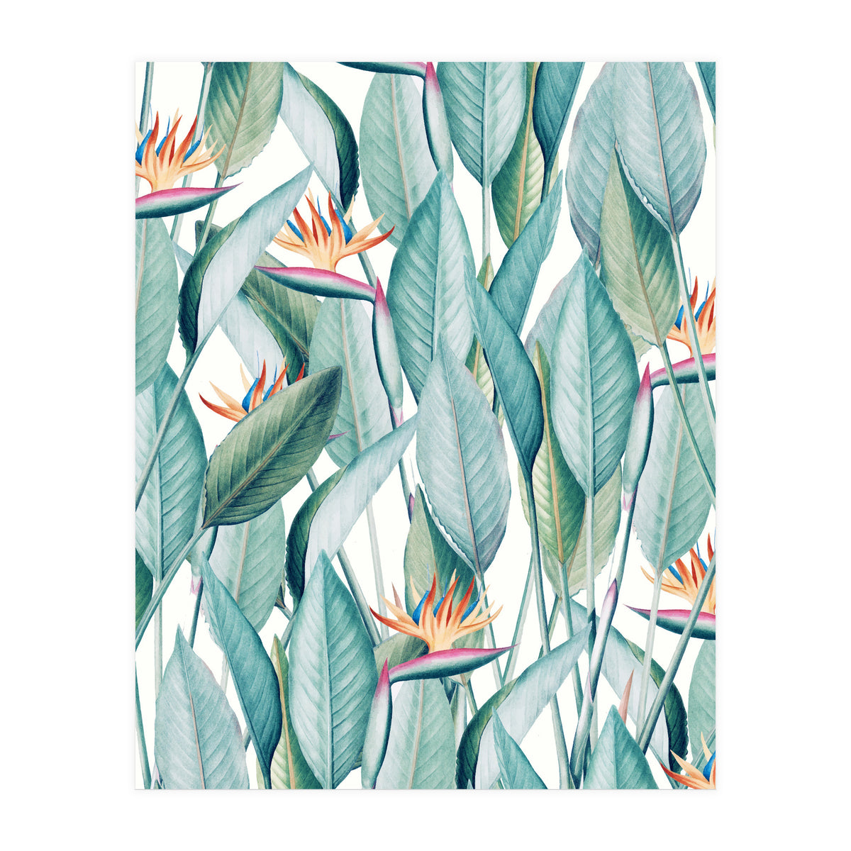 Back To Paradise Island (Print Only)