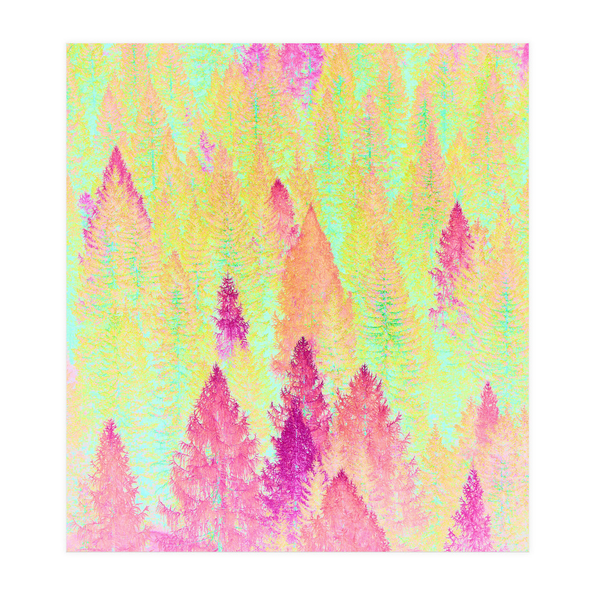 Painted Forest (Print Only)