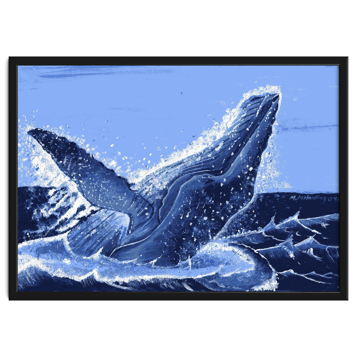 Humpback Whale Breaching