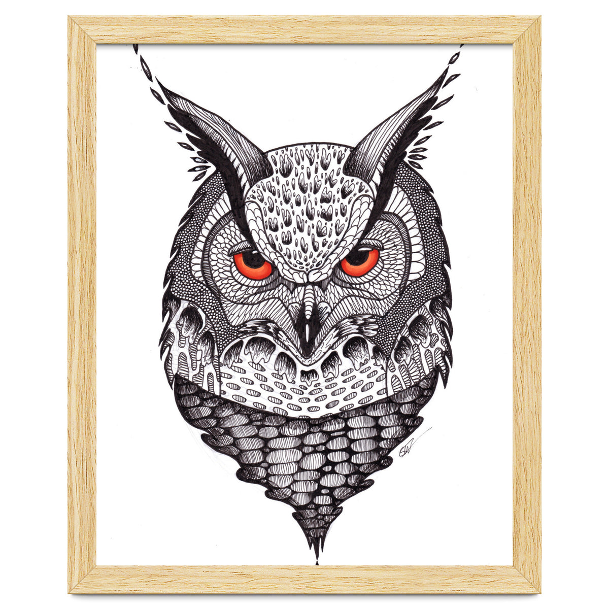 Owl