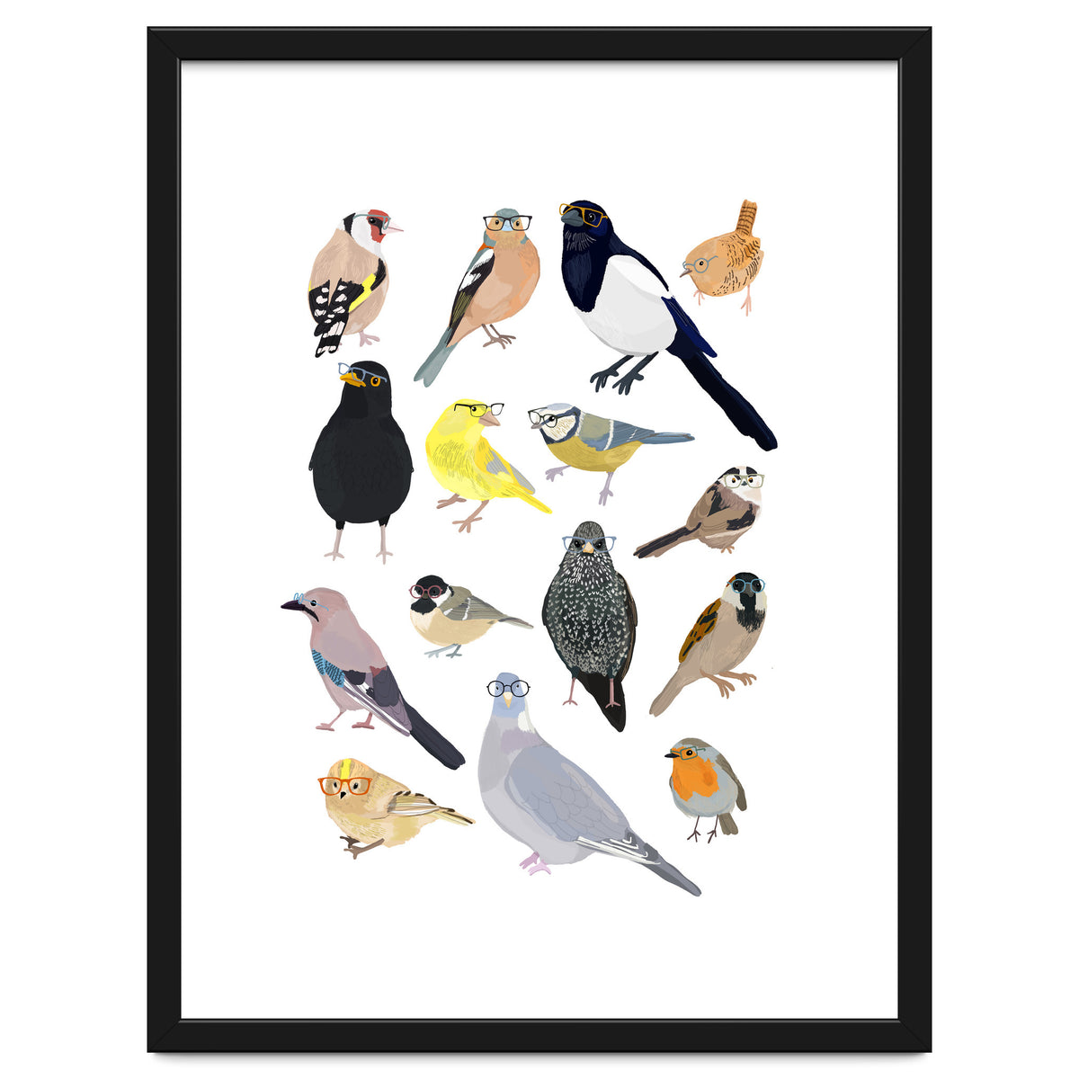 UK Birds in Glasses