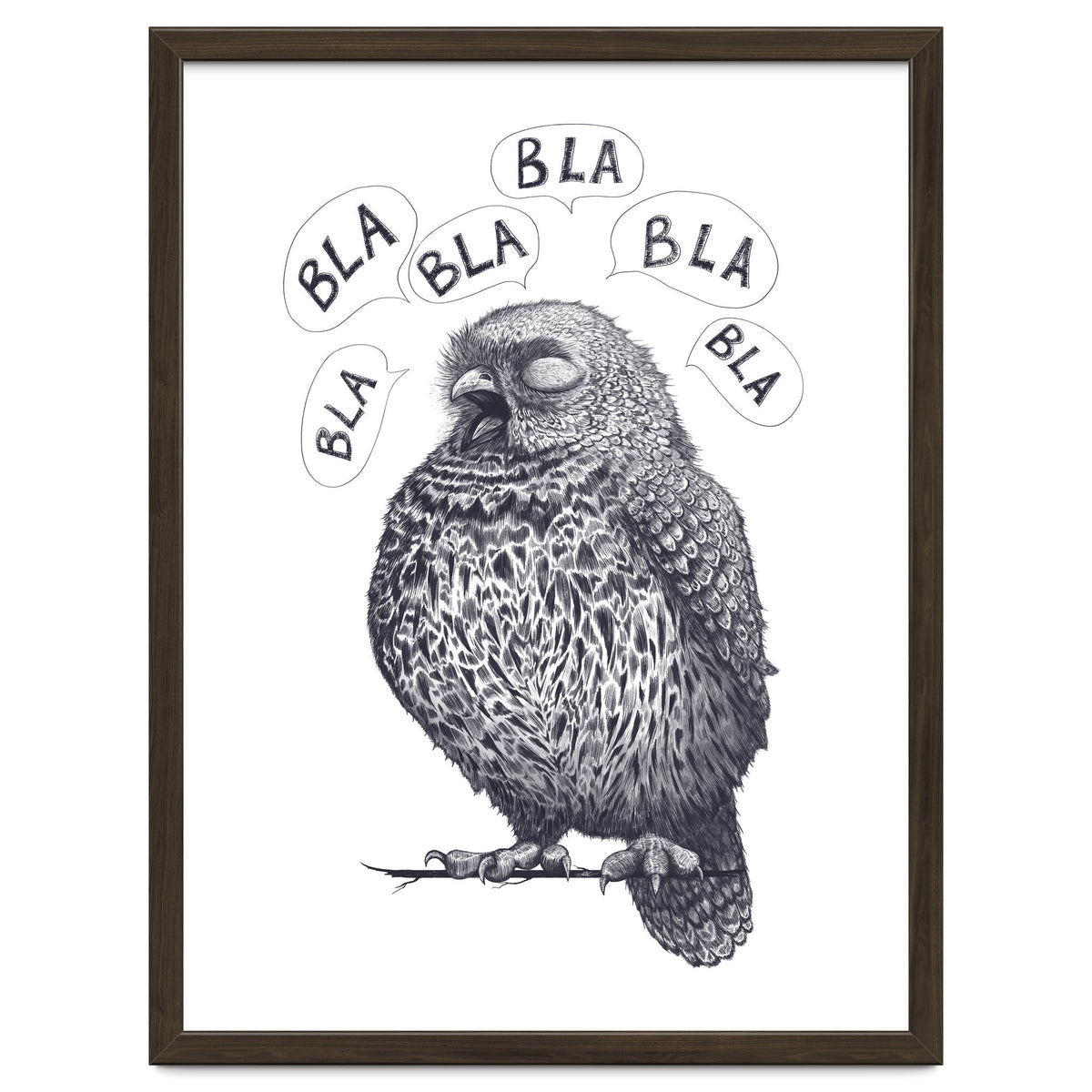 Owl Bla Bla Bla
