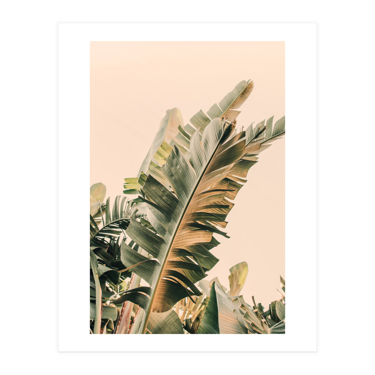 Growing Green Alicia Bock (Print Only)